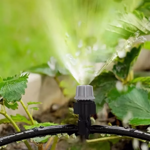 Waterem - Zavlažovací systém pro rostliny